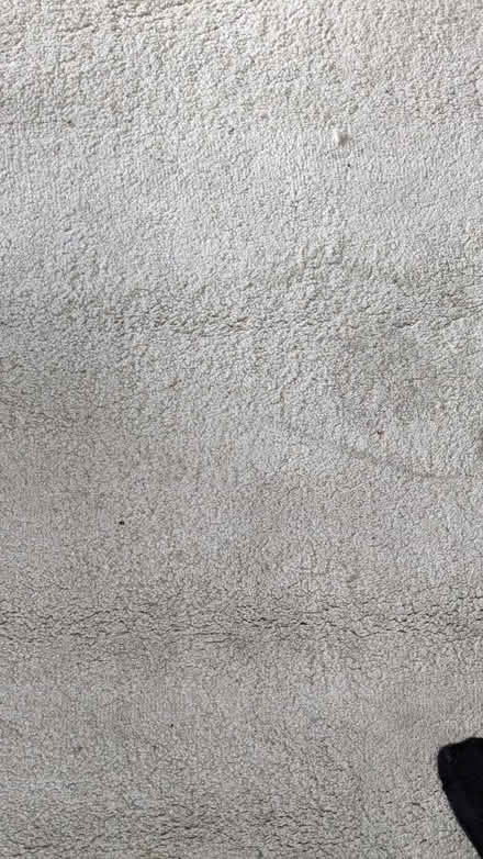 Photo of free Large Rug (Canning Town E13) #3