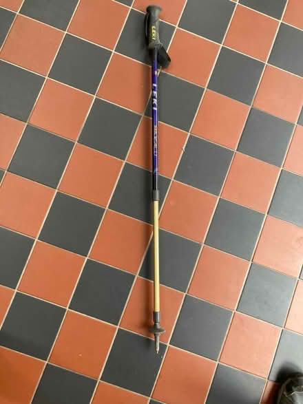 Photo of free Walking pole (Markeaton DE22) #1