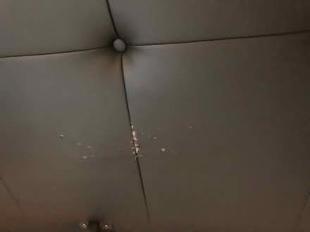 Photo of free Queen headrest and bed frame (Madison Valley) #3