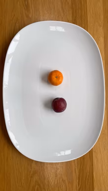 Photo of free Large White Serving Plate (New forest, Bramshaw) #2