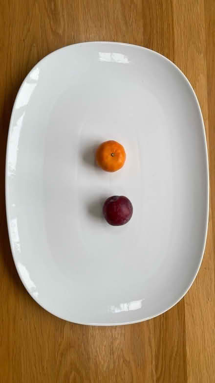 Photo of free Large White Serving Plate (New forest, Bramshaw) #2