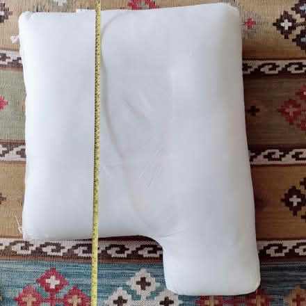 Photo of free Feather cushions - no over covers but in excellent condition (Felton NE65) #1