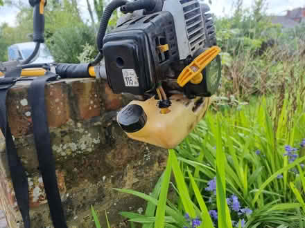 Photo of free Ryobi grass strimmer (Virginia Water) #2