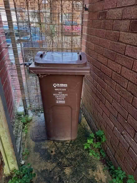 Photo of free Brown wheelie bin (St. Albans AL1) #1