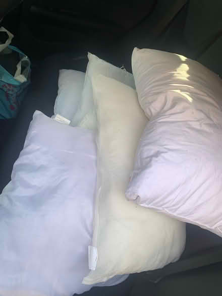 Photo of free 6x cushion inserts (Matlock DE4) #1