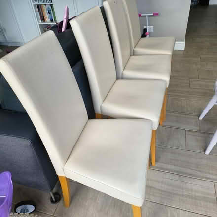 Photo of free Dining chairs x4 (SY2) #1