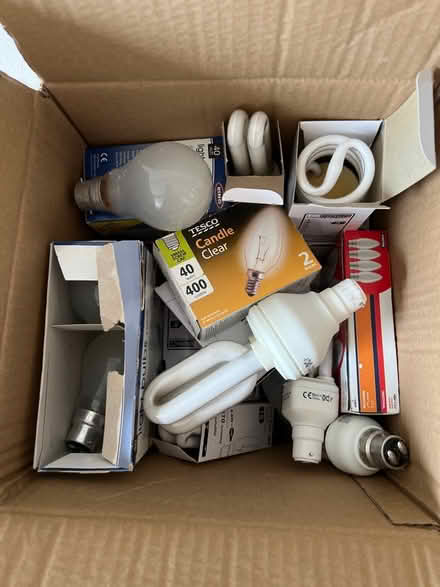 Photo of free Selection of lightbulbs (Polwarth) #1