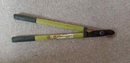 Photo of free Branch loppers (Market Place Kendal LA9) #1