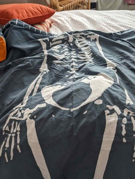 Photo of free Boys duvet cover with skeleton print (Winton BH9) #1