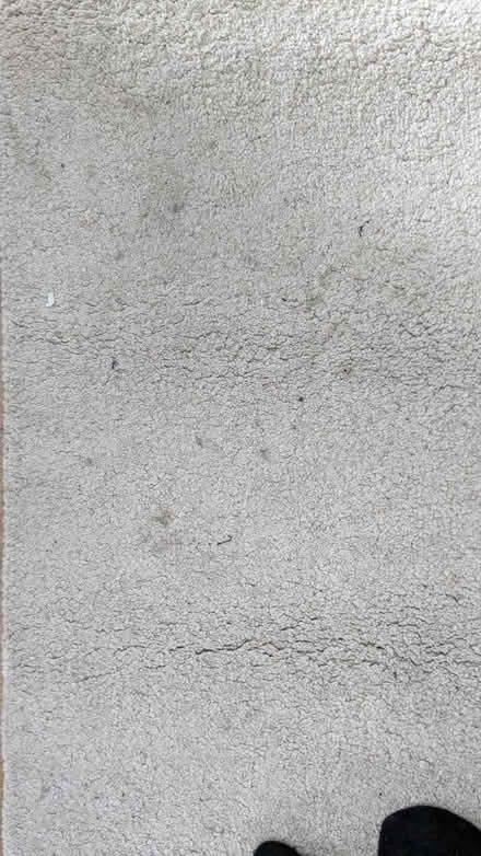 Photo of free Large Rug (Canning Town E13) #4