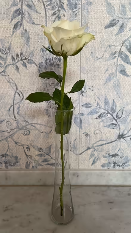 Photo of free Hour Shaped Glass Vase (New forest, Bramshaw) #4