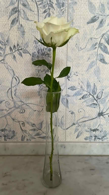 Photo of free Hour Shaped Glass Vase (New forest, Bramshaw) #4
