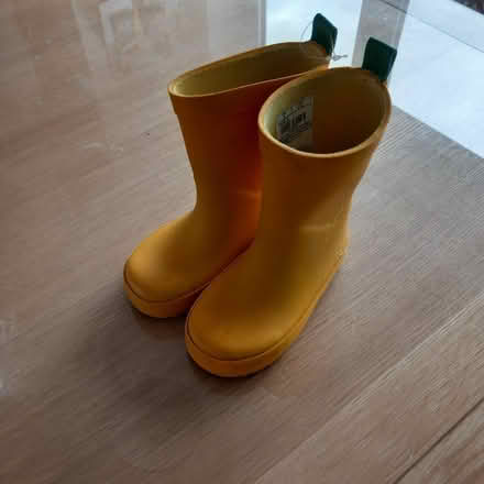 Photo of free Toddler size 5 wellies (Chelmsford) #1
