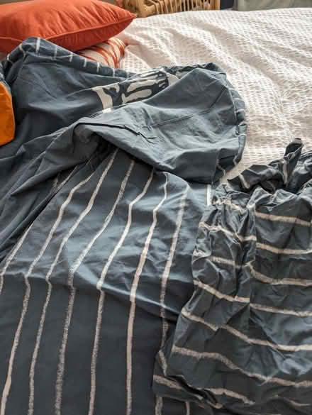 Photo of free Boys duvet cover with skeleton print (Winton BH9) #2