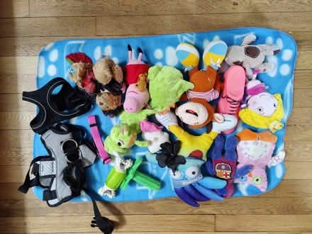 Photo of free Puppy toys and small harness x2 (Friern Barnet, N11) #1
