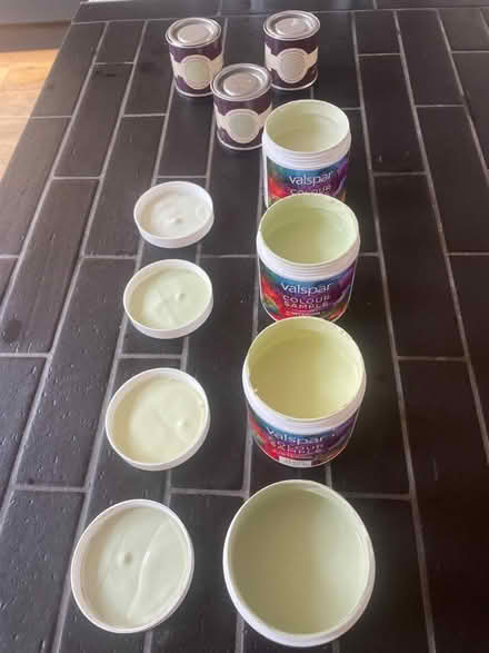 Photo of free Paint Sample Tins - shades of green (Mickleover, Derby, DE3) #1
