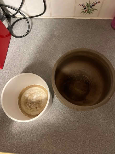 Photo of free Plant pots x2 (Gloucester Road SW7) #2