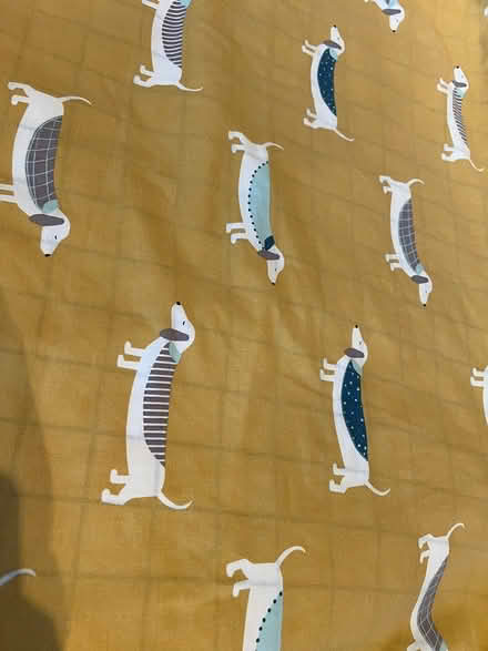 Photo of free doule duvet cover (poplar) #2