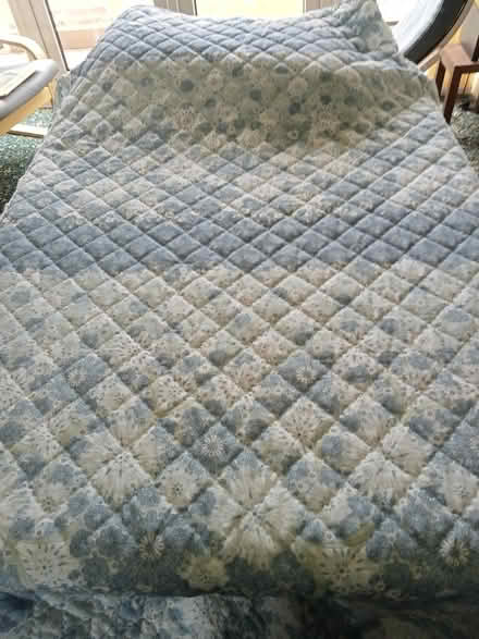 Photo of free Two bedspreads for single beds (Pedmore DY9) #1