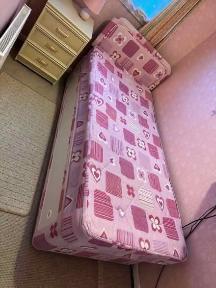 Photo of free Single bed & mattress (Alnwickhill EH16) #1