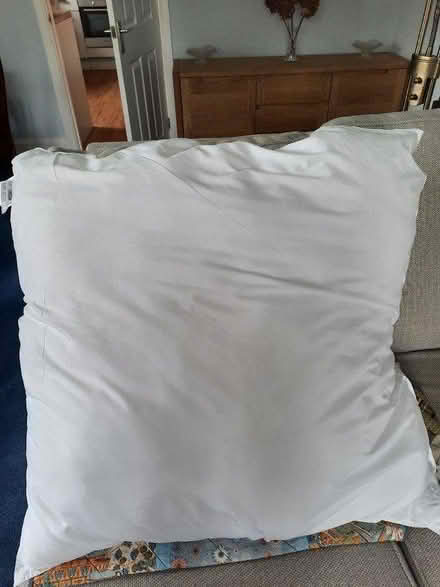 Photo of free Cushion pad (Potters Bar, EN6) #1