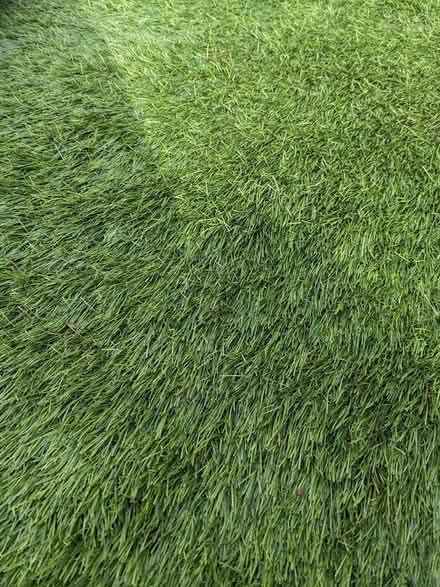 Photo of free Astroturf (G73) #1