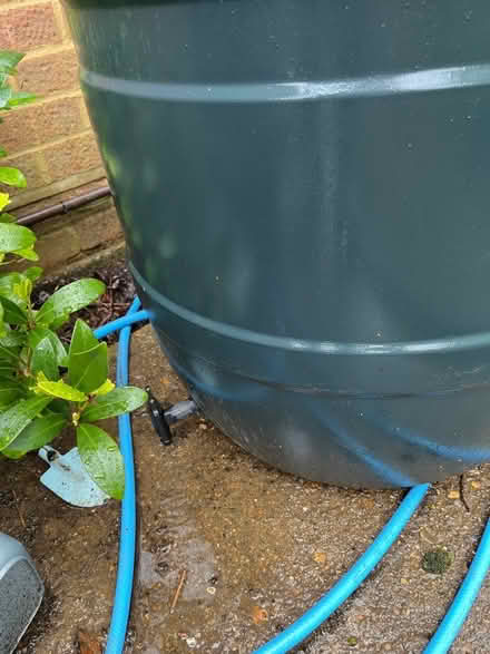 Photo of free Water butt (RG1) #3