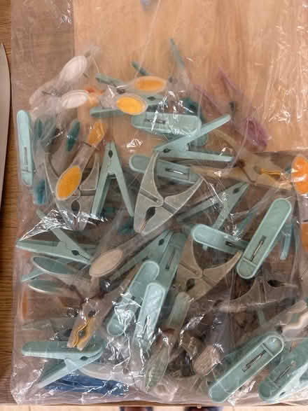 Photo of free Clothes pegs (TQ2) #1