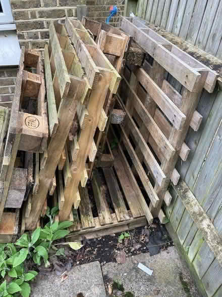 Photo of free Wood pallet 100x120cm (Putney SW15) #1