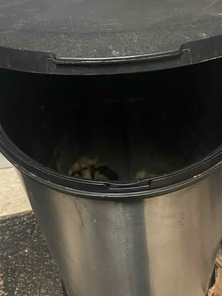 Photo of free Trash can (West 57th) #1