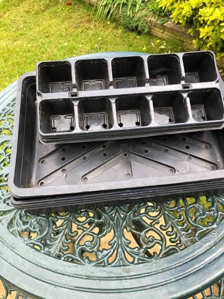 Photo of free Seed trays (Cowplain) #1