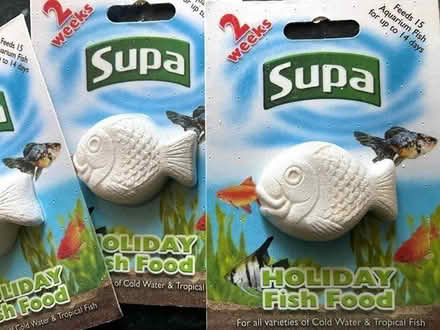 Photo of free Holiday Fish Food x3 (Littlemore OX4) #1