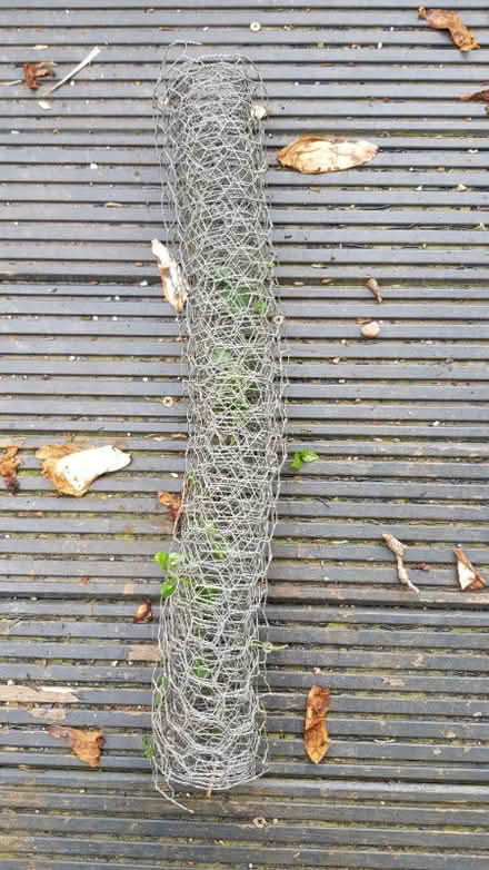 Photo of free Chicken wire (Orford WA2) #1