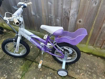 Photo of free Bicycle for 2/3 year old (Langford) #1