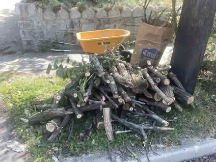 Photo of free Firewood (Brookland) #1