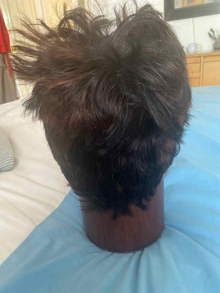 Photo of free Short Brown Mix Wig (Alperton HA0) #3
