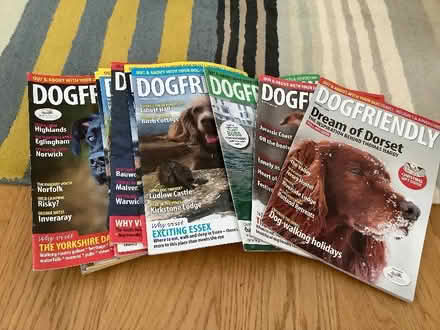 Photo of free 22 Dog Friendly magazines (Germoe TR20) #1
