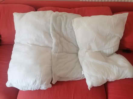 Photo of free 3 pillow cores (CV3) #1