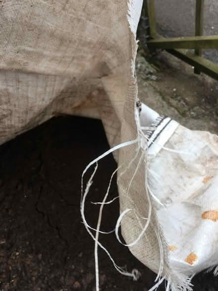 Photo of free High grade topsoil (Ebbw Vale, NP23) #2