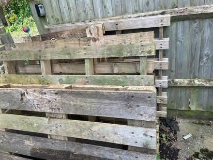 Photo of free Wood pallet 100x120cm (Putney SW15) #2
