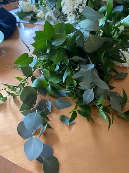 Photo of free Bouquet greenery (Etobicoke South (Etobicoke South (Mimico)) #1