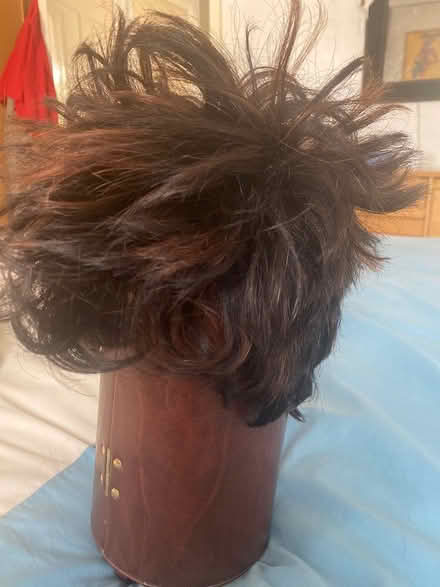 Photo of free Short Brown Mix Wig (Alperton HA0) #1