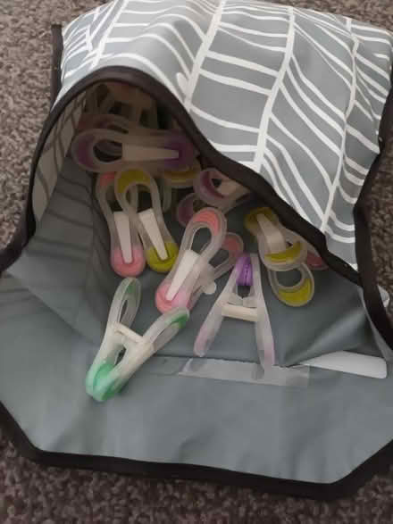 Photo of free Garden Pegs and Bag (Kempsey WR5) #1