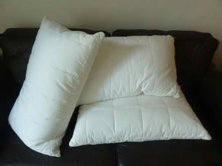 Photo of free IKEA pillows x3 (new, unused) (West Kirby CH48) #1