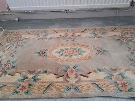 Photo of free Rug #1 (TN24) #1