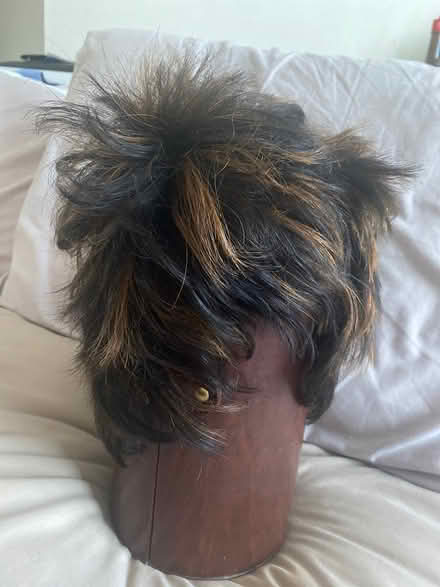 Photo of free Light brown Mix Wig (Alperton HA0) #1
