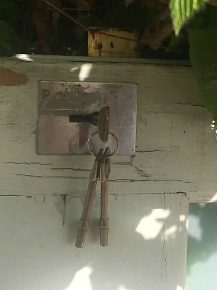 Photo of free part glazed door (Hackney E5) #2