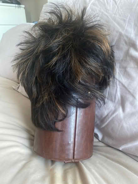 Photo of free Light brown Mix Wig (Alperton HA0) #2
