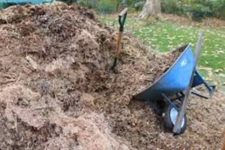 Photo of mulch, chips, ground up anything (Durham) #1