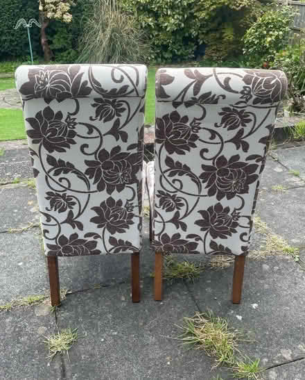 Photo of free Brown & cream floral dining chairs (ST6)